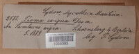 Boeremia exigua image